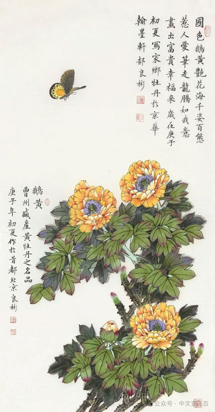 花鸟画9