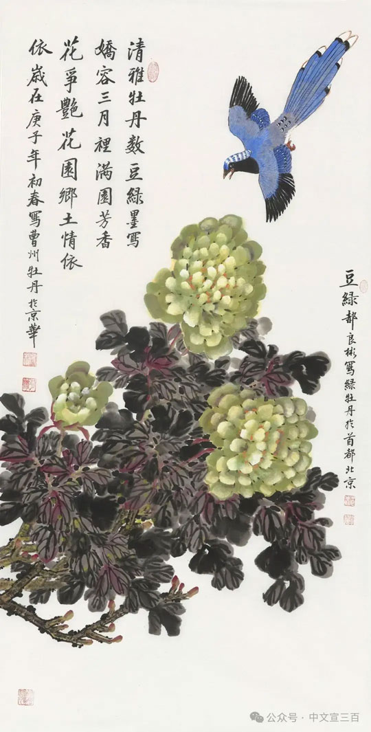 花鸟画5