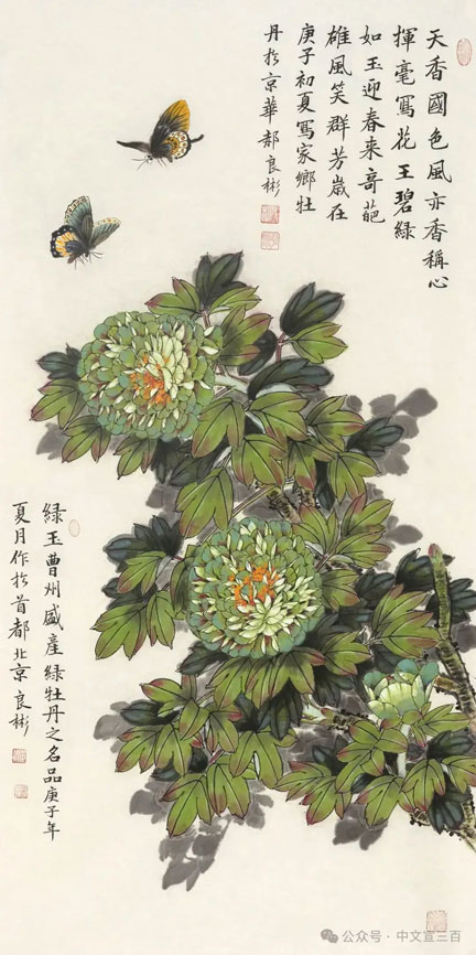 花鸟画4