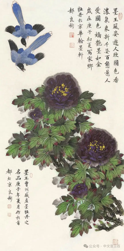 花鸟画3