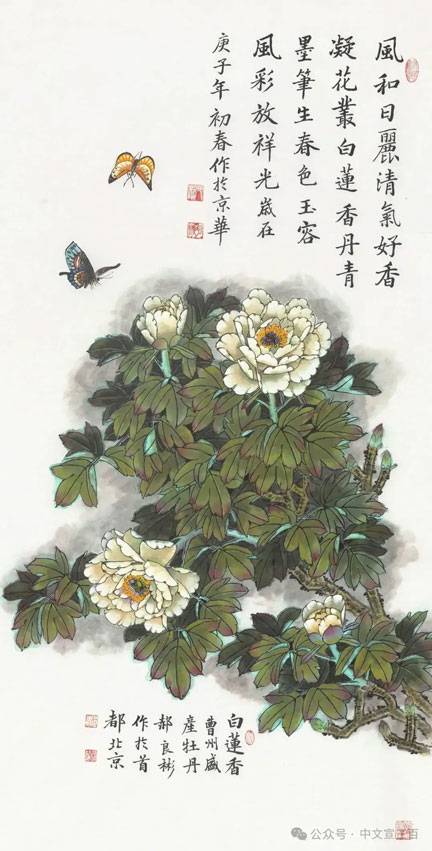 花鸟画13