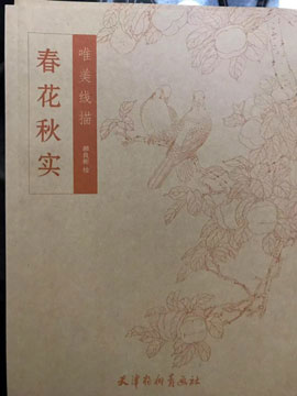 春花秋实唯美线描