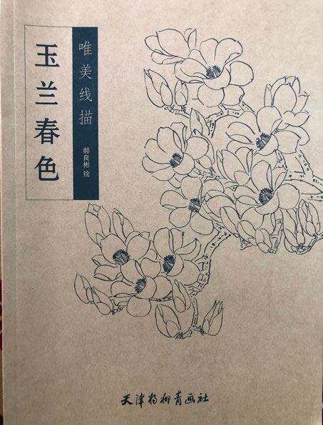 玉兰春色
