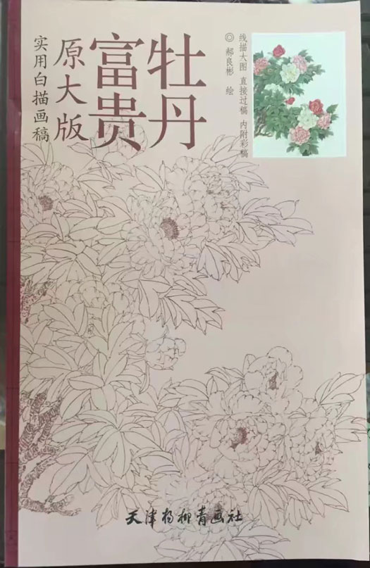 富贵牡丹白描画稿
