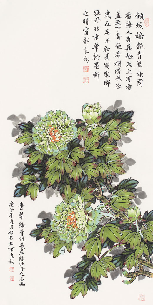 倾城娇艳青翠绿（绿牡丹）