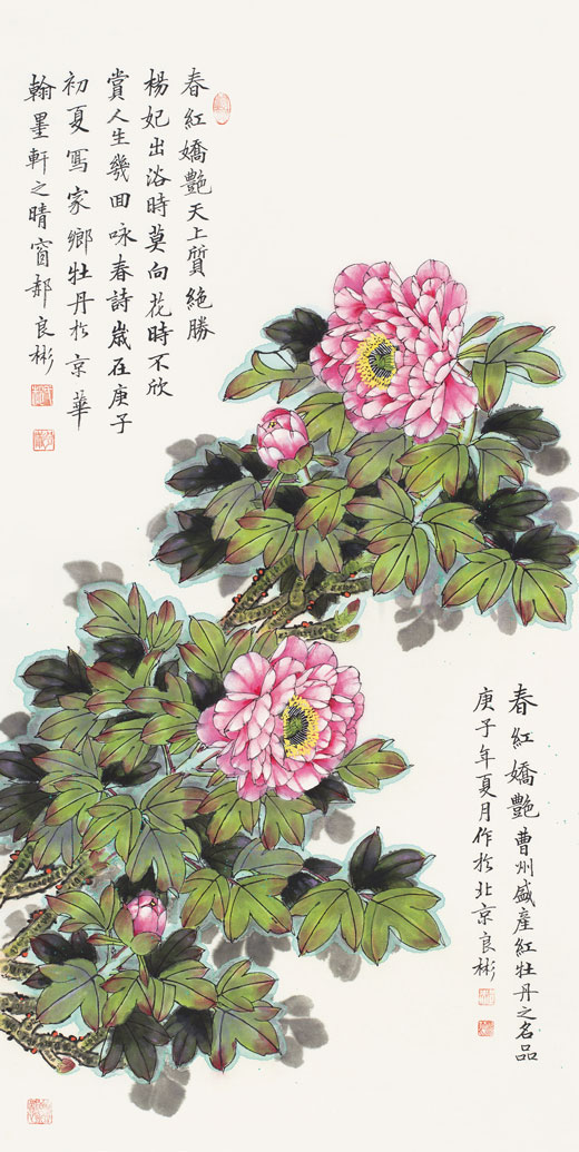 春红娇艳天上质（春红牡丹）