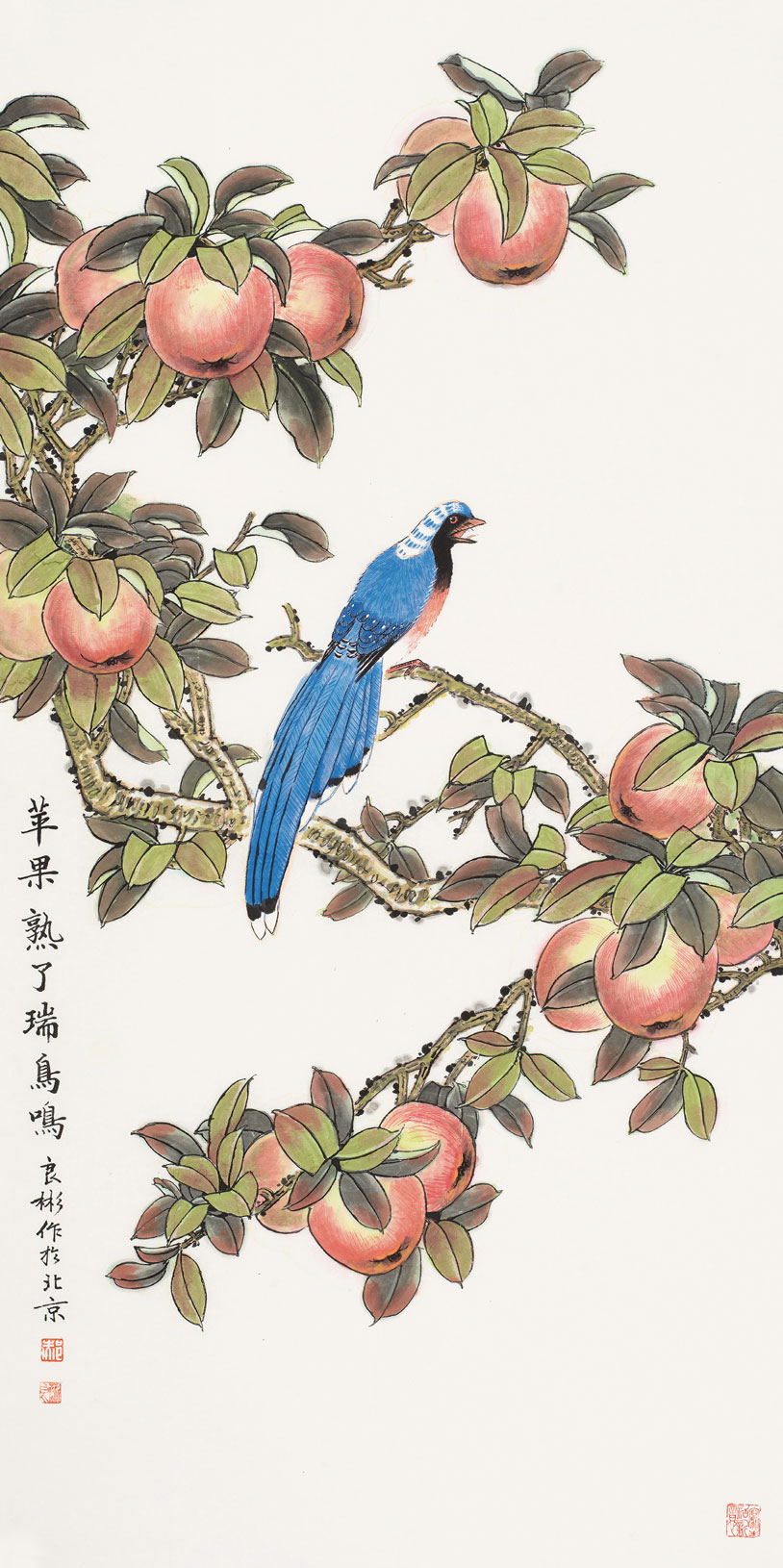 苹果熟了瑞鸟鸣