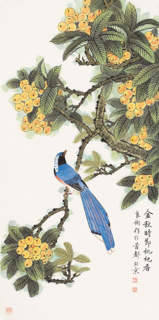 金秋时节枇杷香