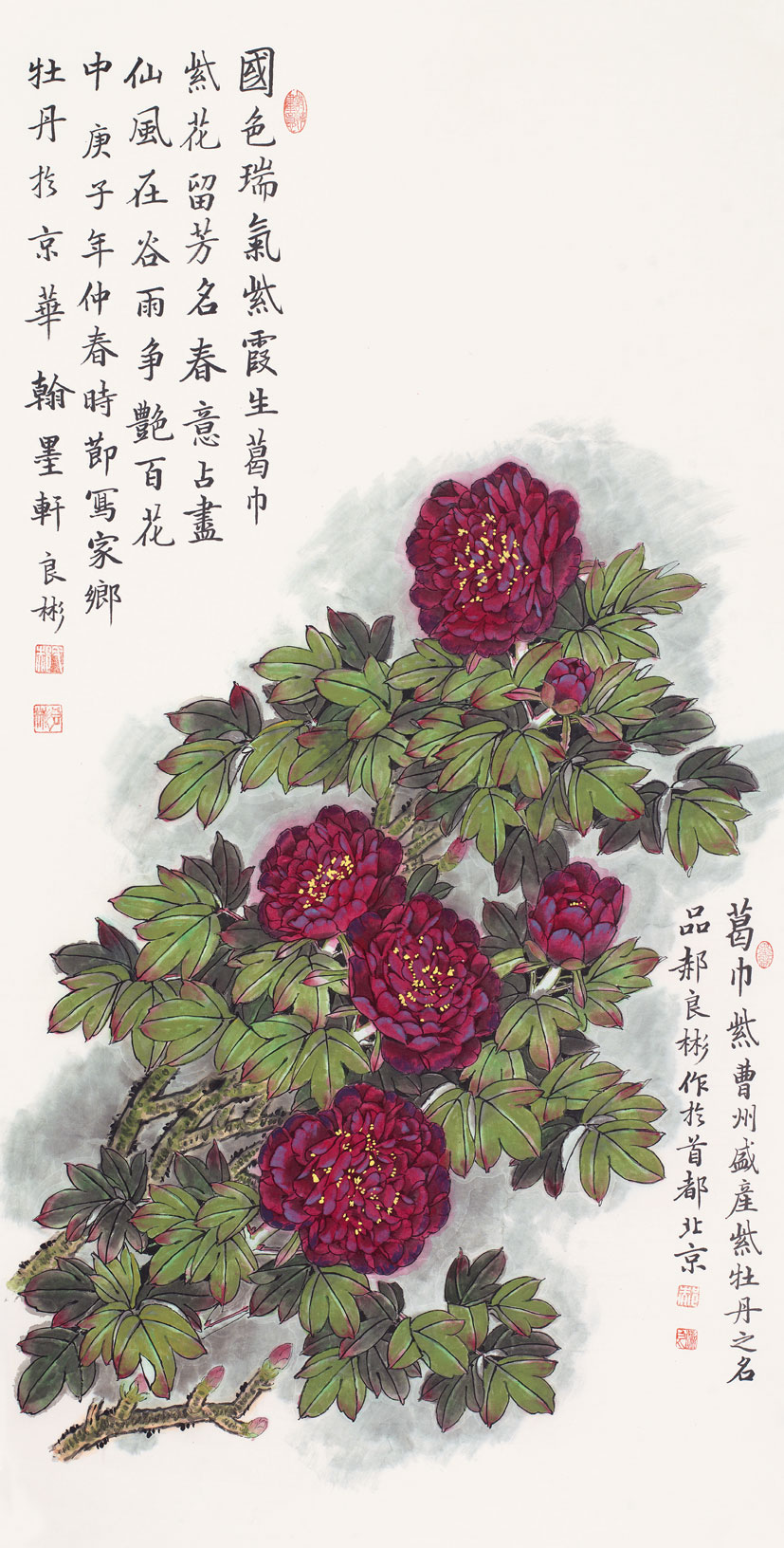国色瑞气紫霞生（葛巾紫牡丹）