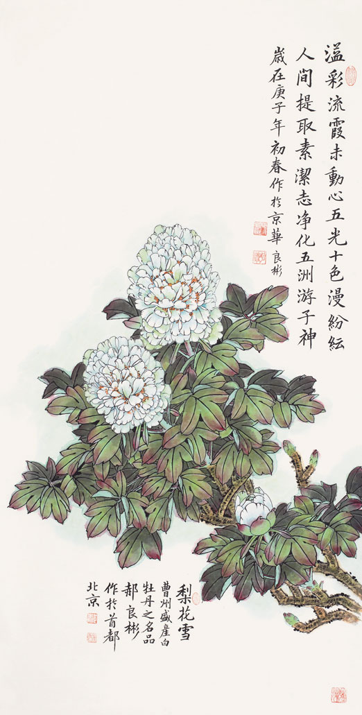 溢彩流霞（梨花雪）