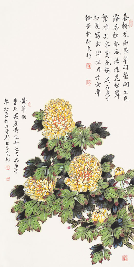 春风荡漾花起舞（黄翠羽牡丹）