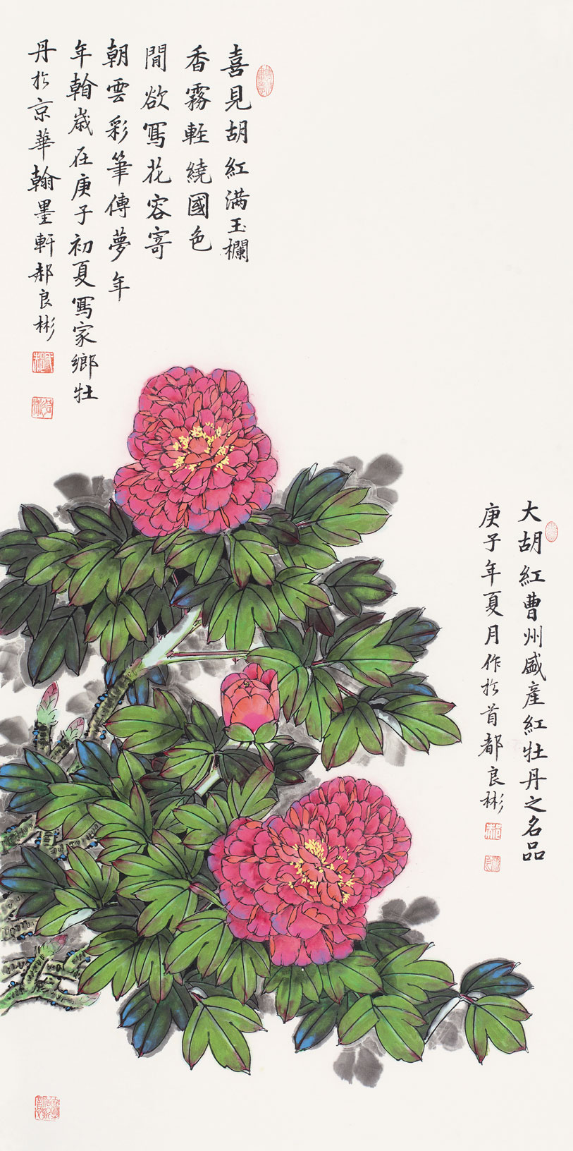 喜见胡红满玉栏（大胡红牡丹）