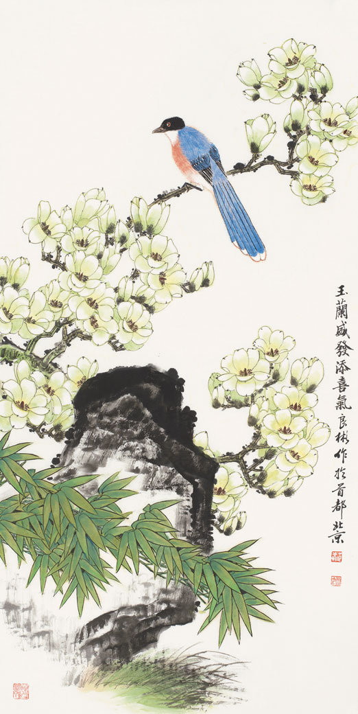 玉兰盛发添喜气