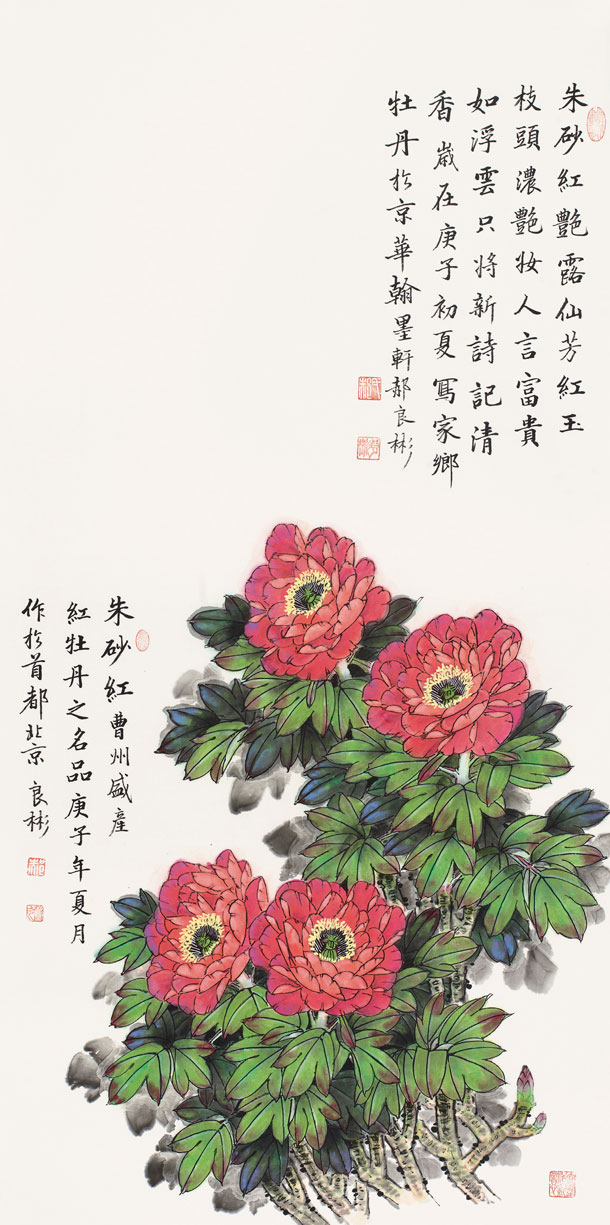 朱砂红艳露仙芳