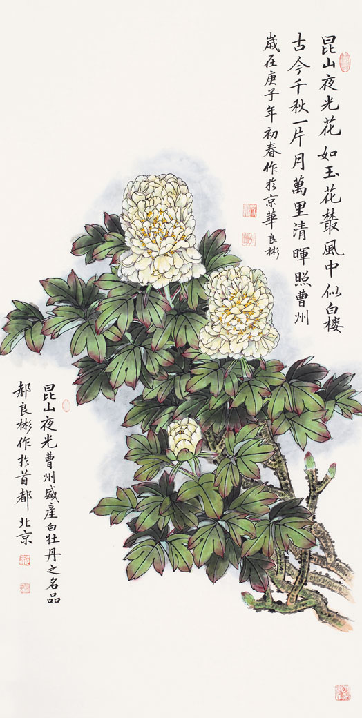 昆山夜光花如玉（昆山夜光白牡丹）