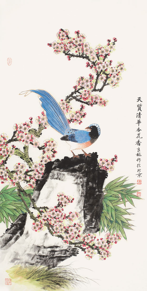 天质清华杏花香