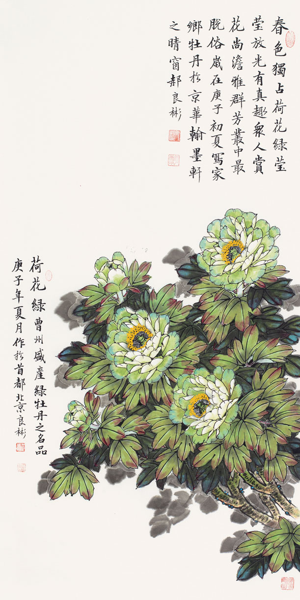 群芳丛中最脱俗（荷花绿牡丹）