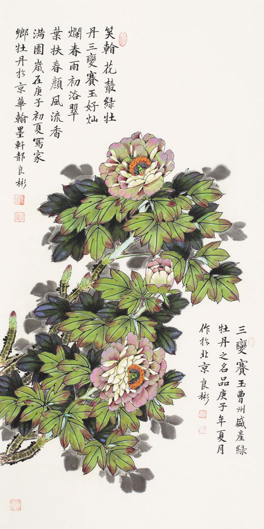 笑看花丛绿牡丹（三变赛玉牡丹）
