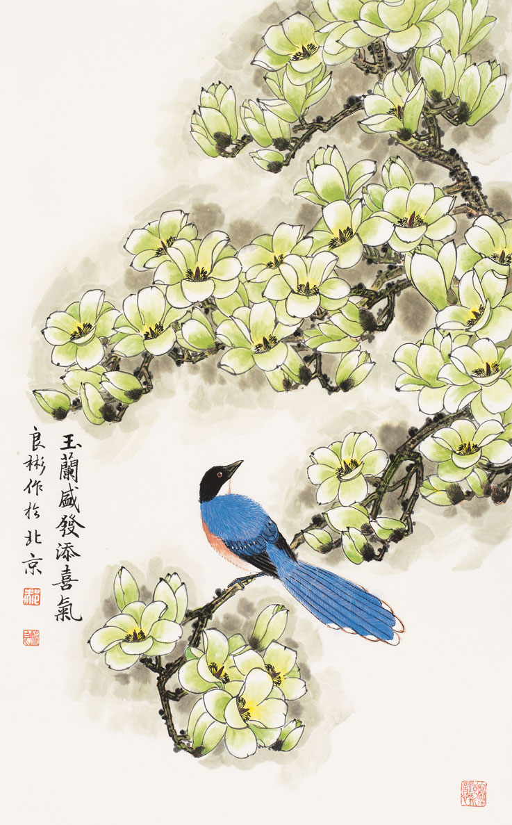玉兰盛发添喜气