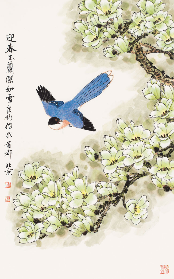 迎春玉兰洁如雪