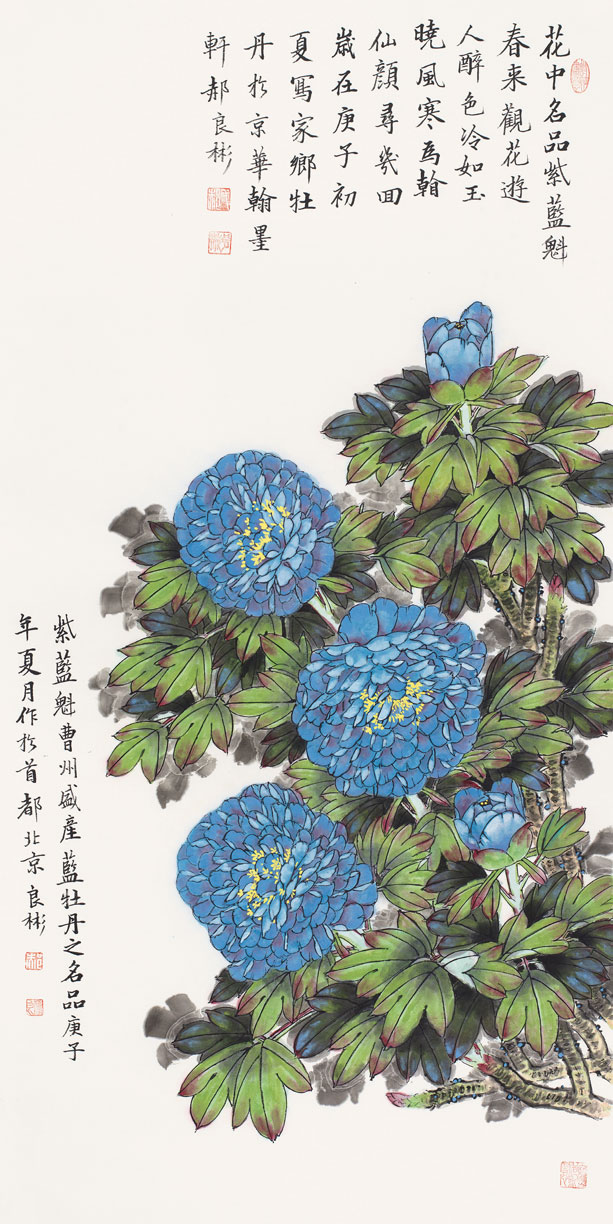 花中名品紫蓝魁